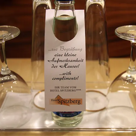 Hotel Spitzberg Garni 3*