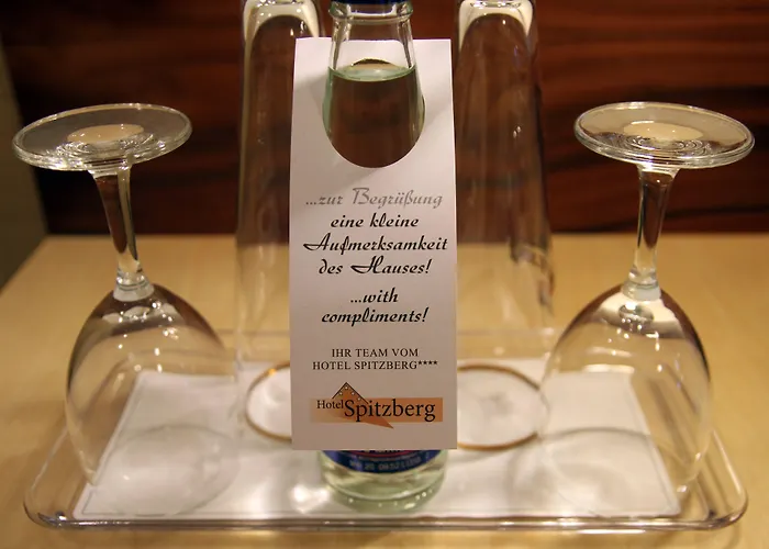 Hotel Spitzberg Garni 3*