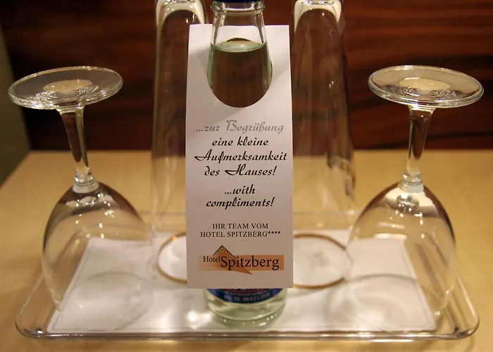 Spitzberg Garni 3* Passau